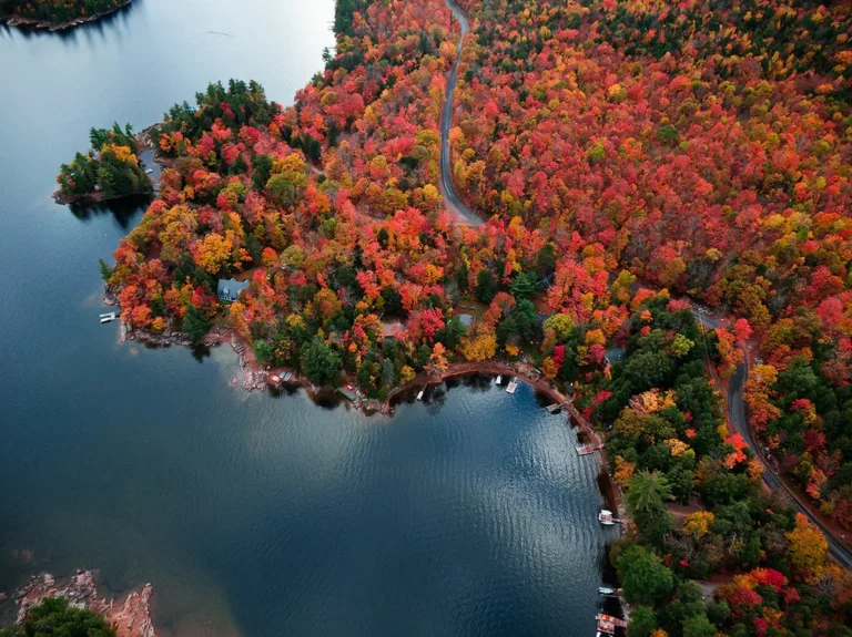 Autumn Walks: Why It's Great for Our Mental Health