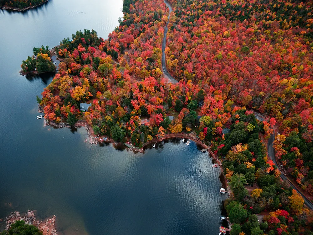 Autumn Walks: Why It's Great for Our Mental Health