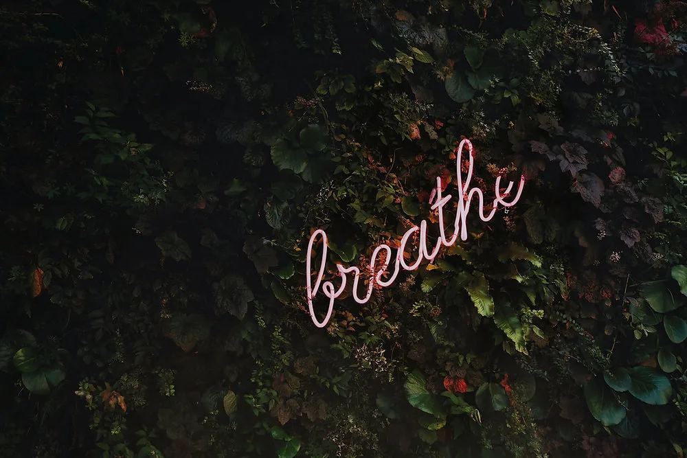 Breathe, Notice, Heal: How Mindfulness and Breathing Techniques Support Emotional Wellbeing